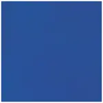 Akrylová barva Liquitex Basics 22 ml – 381 cobalt blue  - image 2