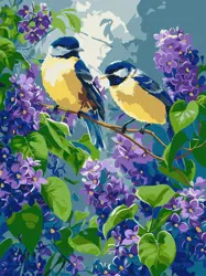 Malování podle čísel – plátno 30×40 cm Spring duet 6654
