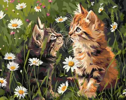 Malování podle čísel 40×50 cm Kočky v květinách