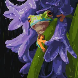 Malování podle čísel 40×40 cm  Žába v dešti