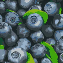 Malování podle čísel 25×25 cm Šťavnatá borůvka