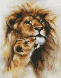 Lví něha 40х50 AMO 7202