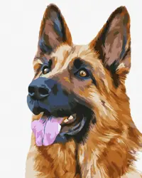  Věrný přítel 40х50cm