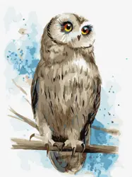  Moudrý pohled 30х40cm