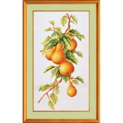  Hrušková větev p7-009