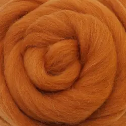 Ovčí vlna barevná 100g – běžová 25