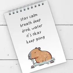 Blok kroužková vazba A6 Stay calm Kapybara