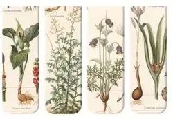 Magnetické záložky Vintage Botanické Umění