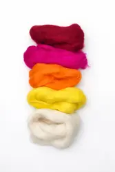 Sada vlny na plstění 50 g – barevný mix (5 barev) sytá