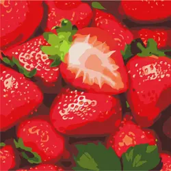 Malování podle čísel 25×25 cm     Šťavnatá jahoda