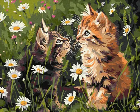 Malování podle čísel 40×50 cm Kočky v květinách