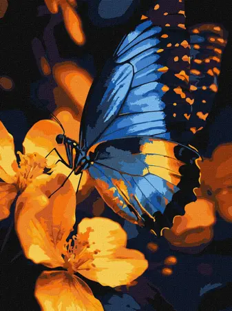 Malování podle čísel – plátno 30×40 cm KHO 6731 Mihotající se křídla