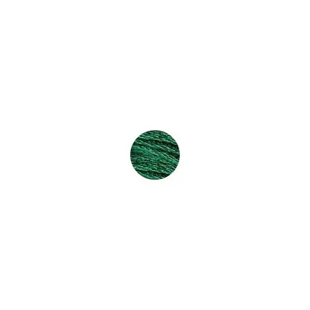 DMC 317W : E699 Fruits Confits Métallisés