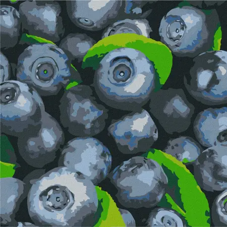 Malování podle čísel 25×25 cm Šťavnatá borůvka