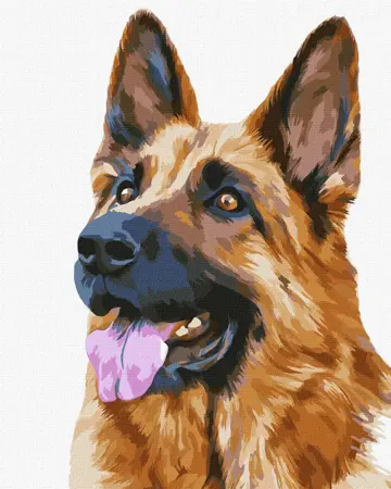  Věrný přítel 40х50cm