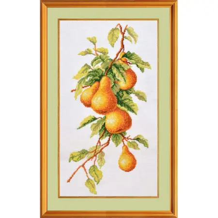  Hrušková větev p7-009