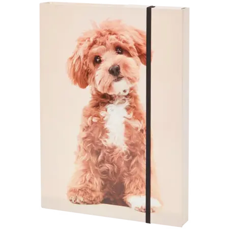 Zakládací desky A4 pejsek