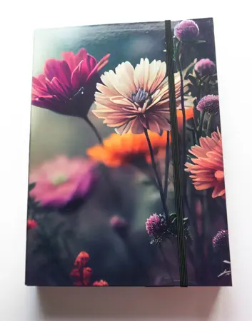 Zakládací desky A4 Polní květy 