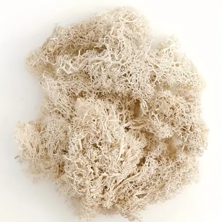 Dekorační mech béžový