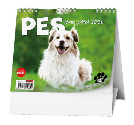 Stolní kalendář 2026 Pes věrný přítel
