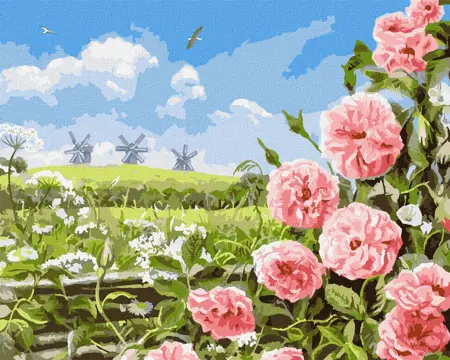  Malování podle čísel - Něha polí 40х50cm