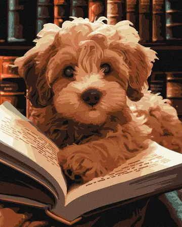  Malování podle čísel - chlupatý   čtenář 40х50cm