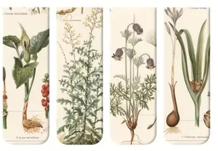 Magnetické záložky Vintage Botanické Umění