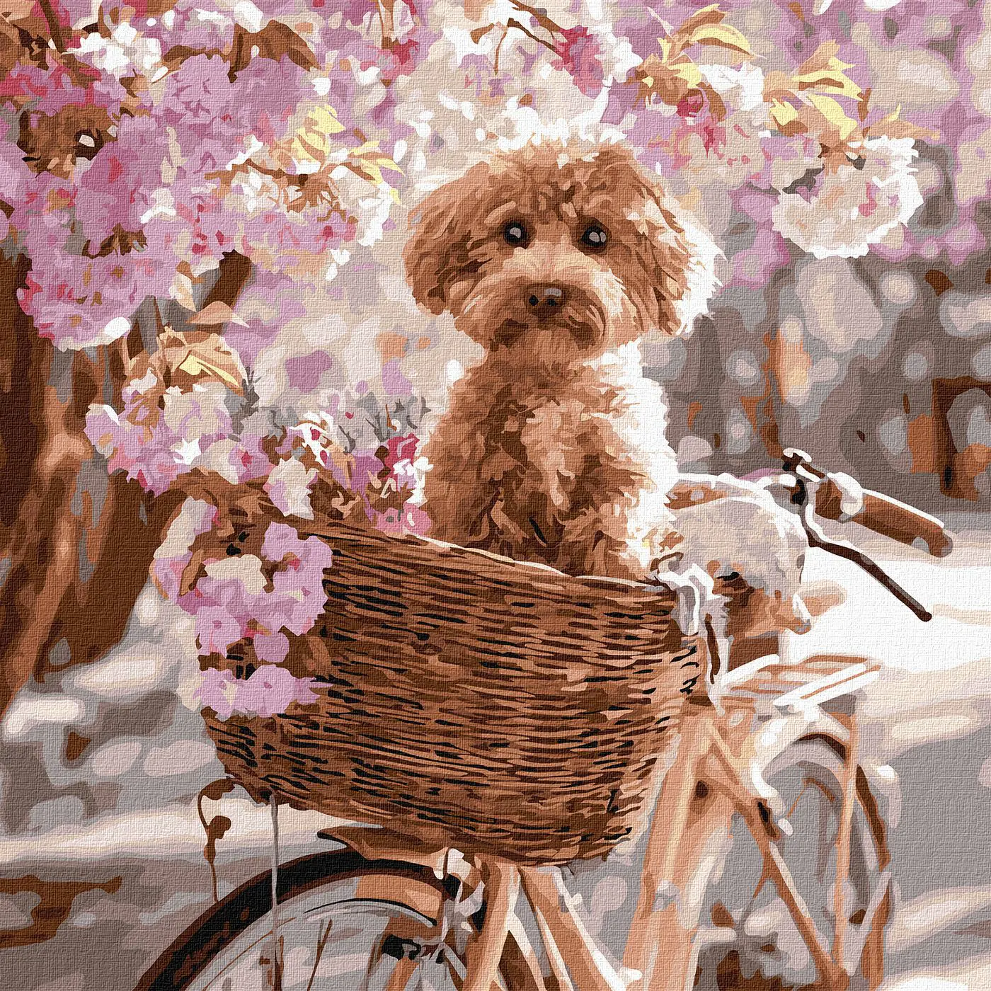 Malování podle čísel 40×40 cm Bloom Ride - fotografie 1