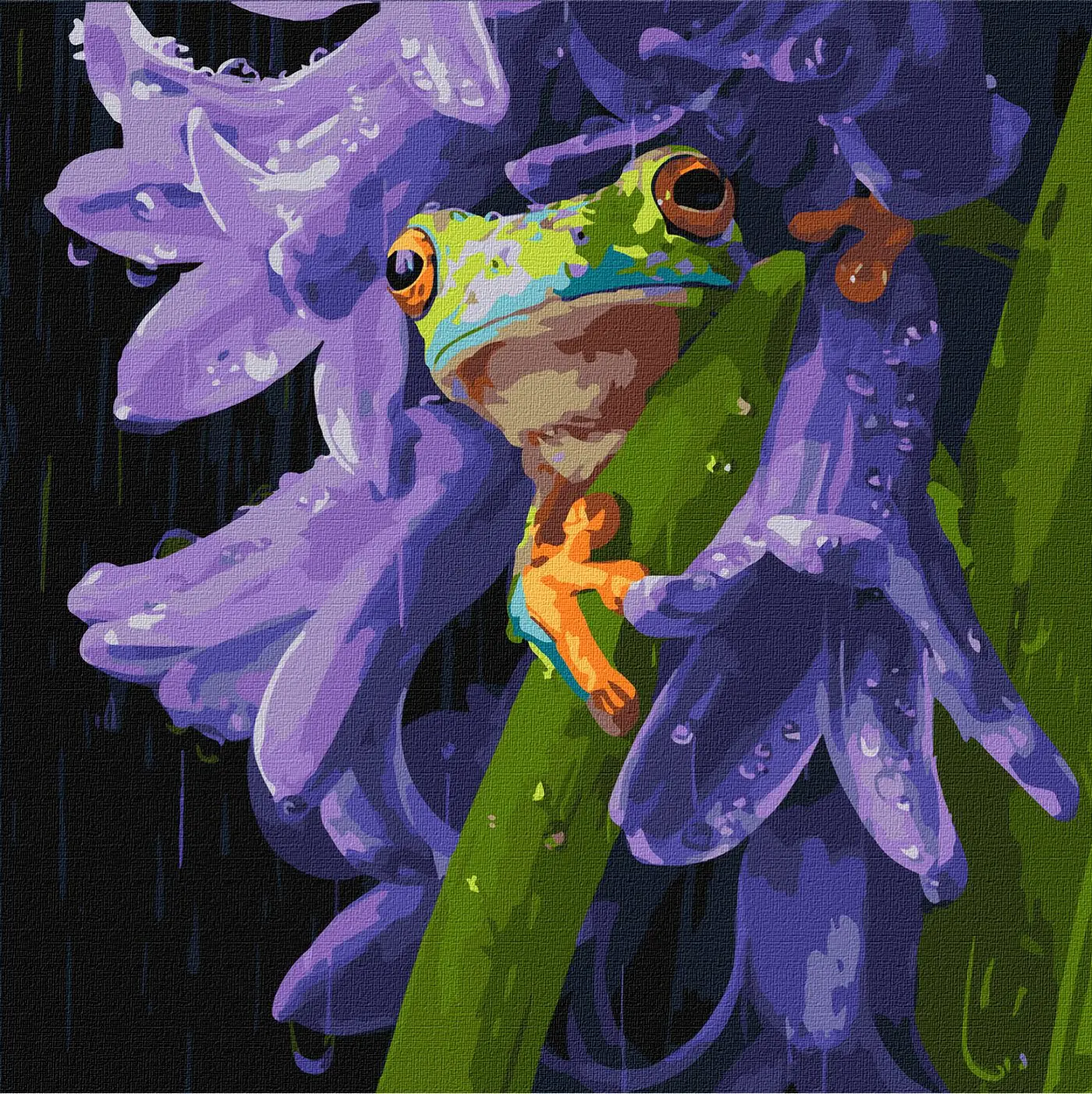 Malování podle čísel 40×40 cm  Žába v dešti - fotografie 1