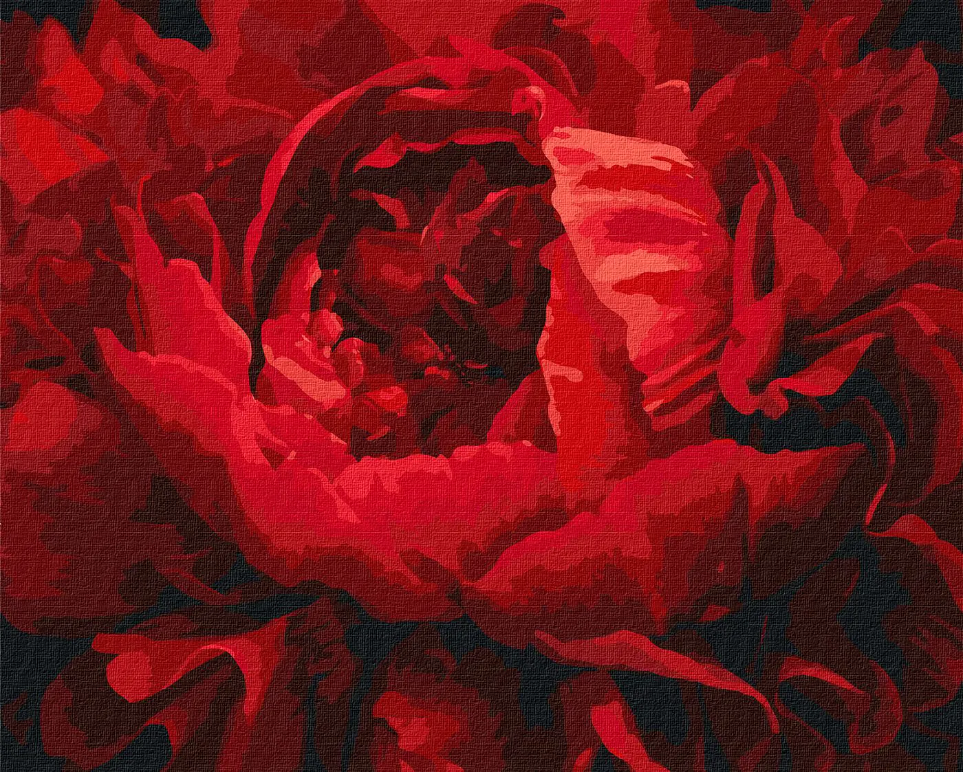 Malování podle čísel 40×50 cm – kreativní sada pro dospělé i děti  Nádherná květina  - fotografie 1