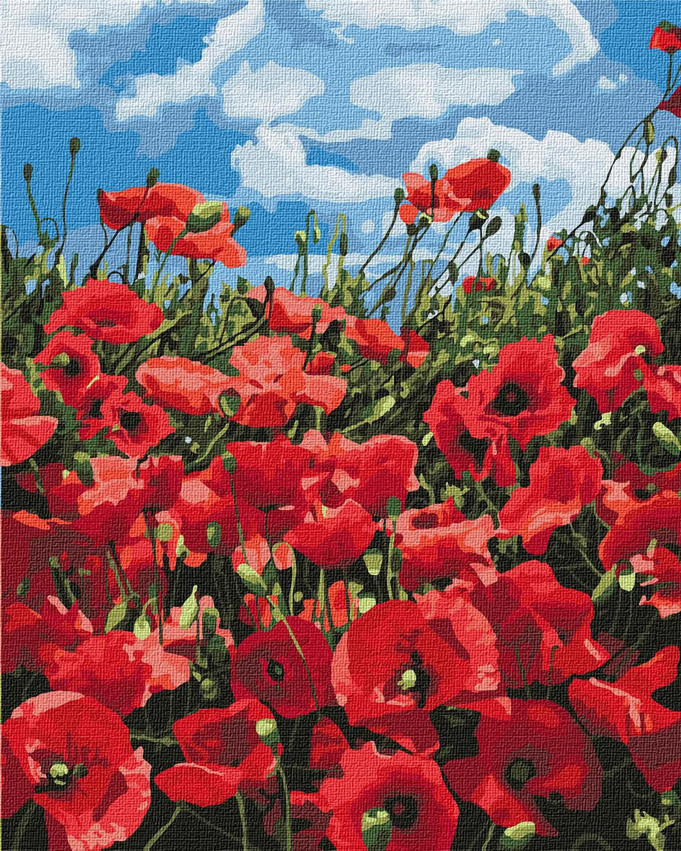 Malování podle čísel 40×50 cm – kreativní sada pro dospělé i děti  Úžasné vlčí máky  - fotografie 1