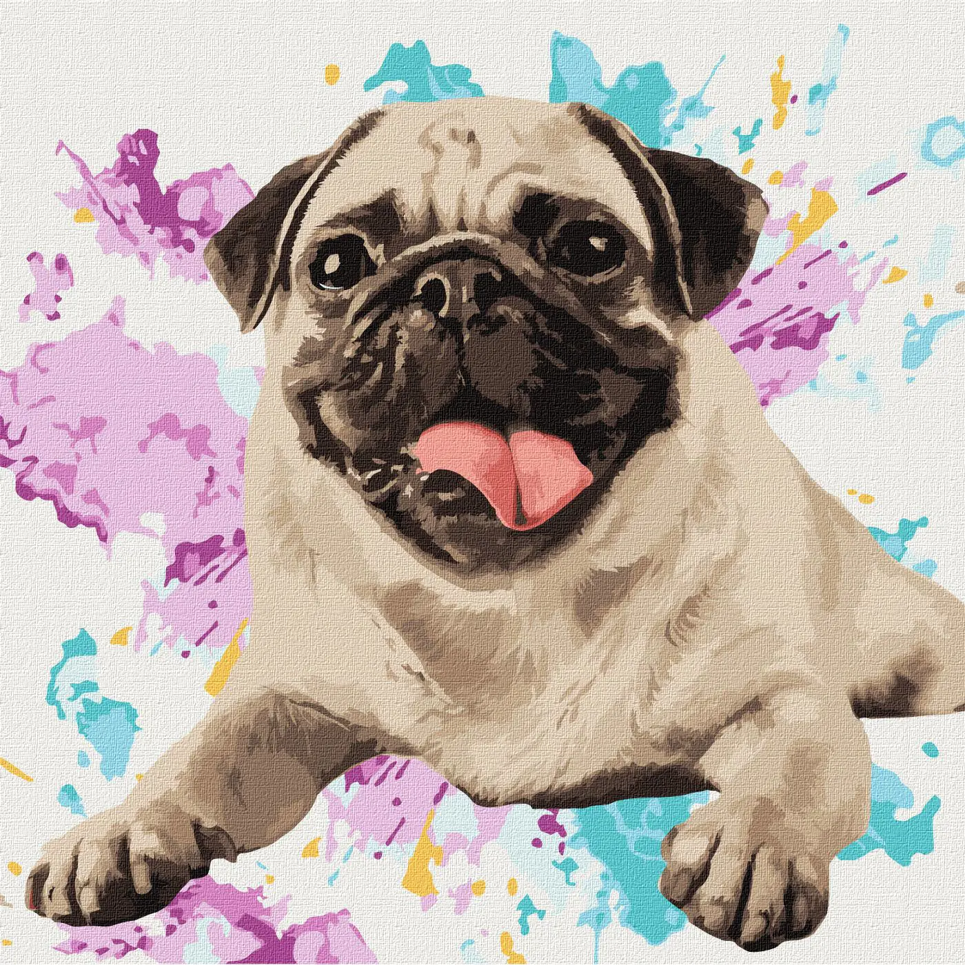 Malování podle čísel 40×40 cm – kreativní sada pro začátečníky i pokročilé  Oblíbený mops  - fotografie 1