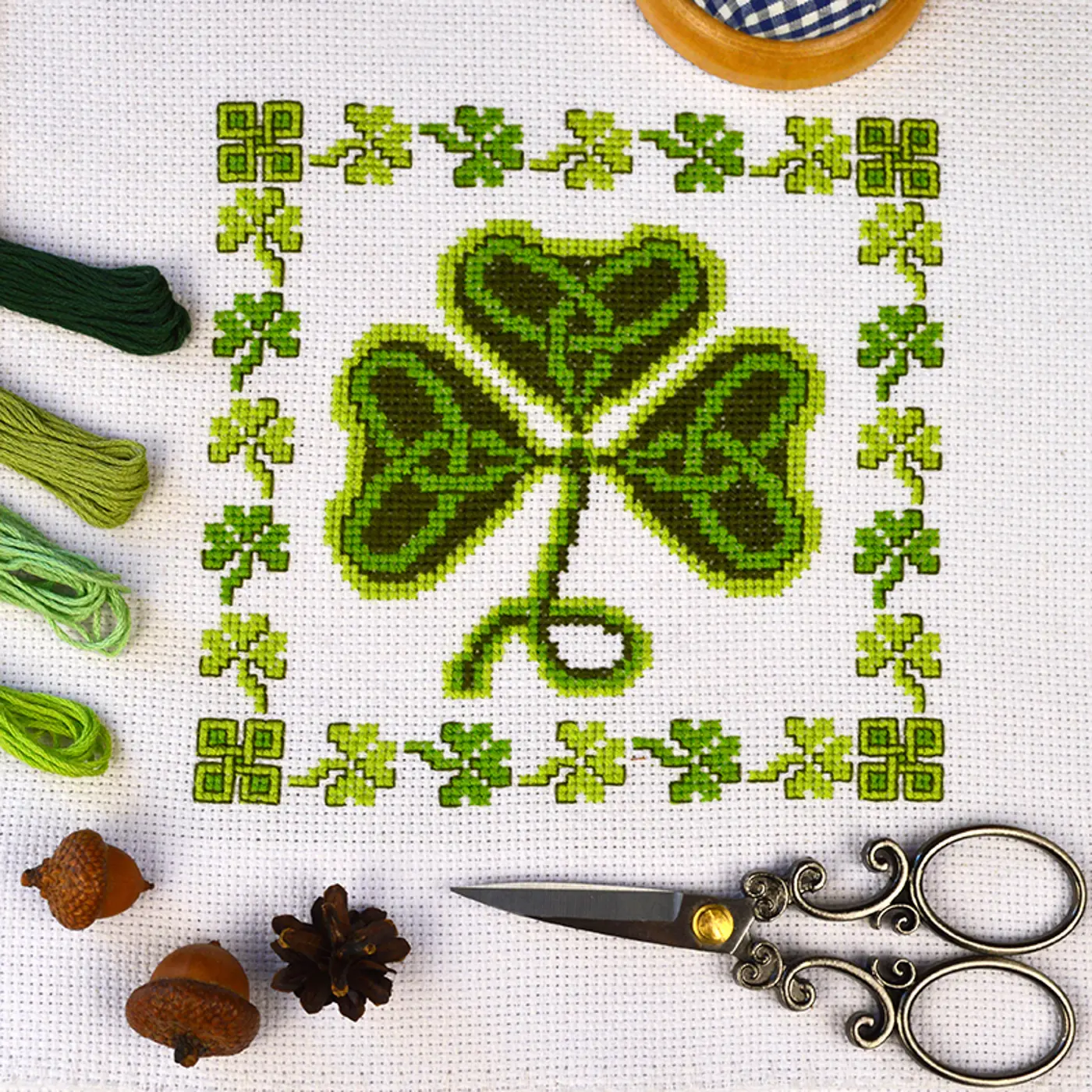Shamrock  - fotografie 1