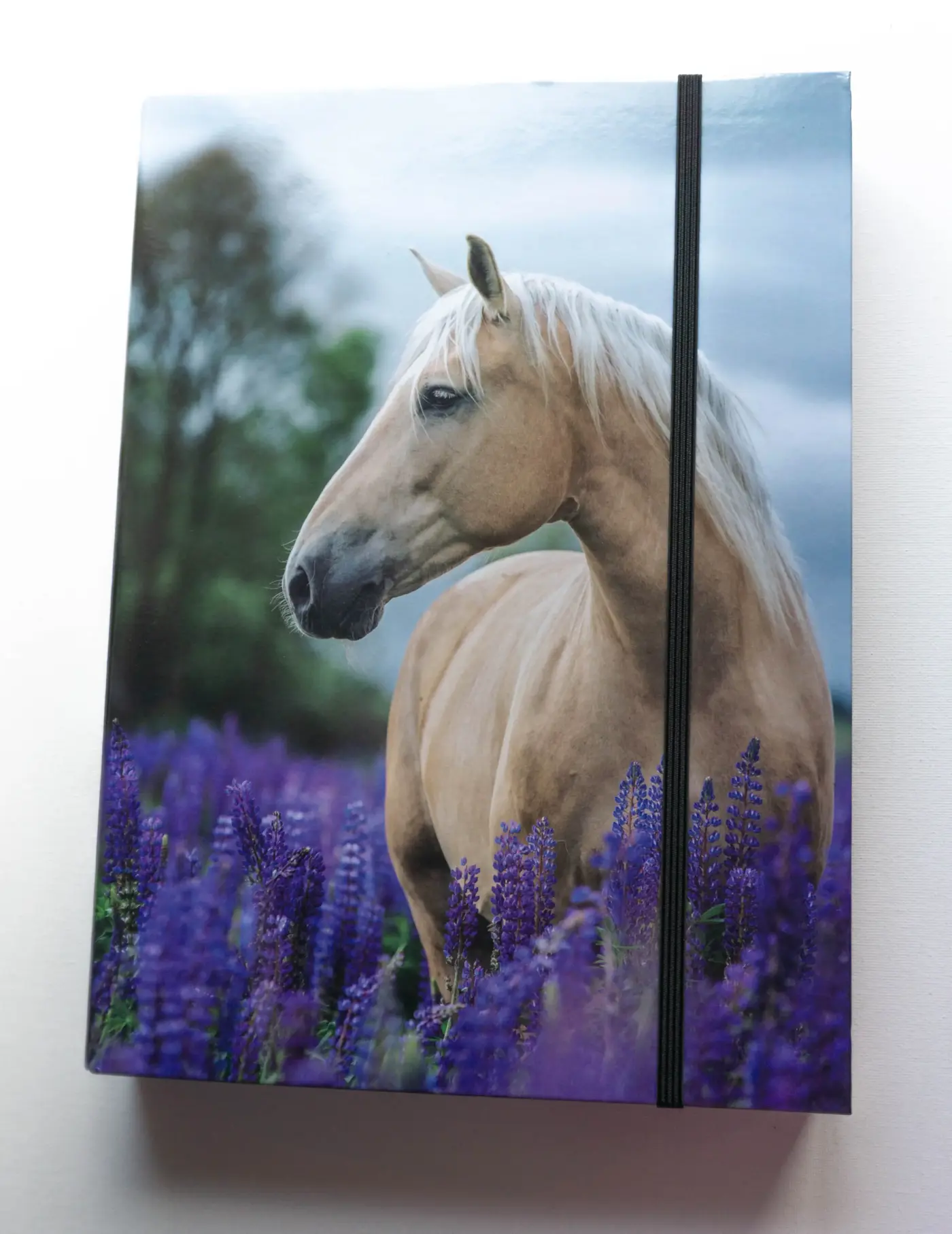 Zakládací desky A4 Kůň - fotografie 1