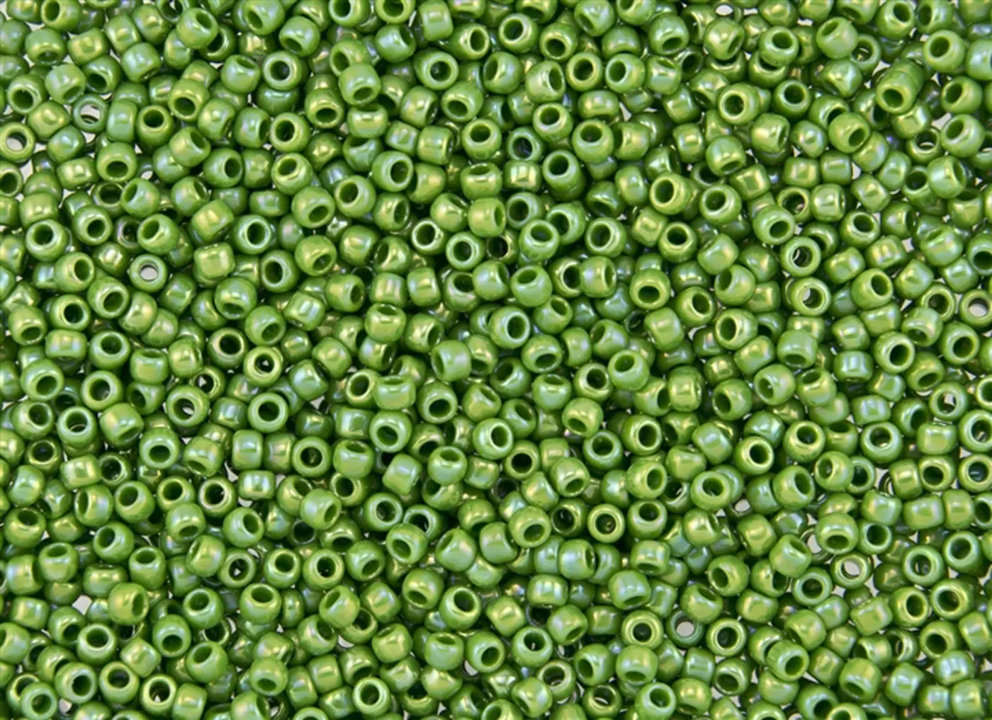Rokajlové korálky - Round 11/0 : Opaque-Rainbow Mint Green TR-11-407  - fotografie 1