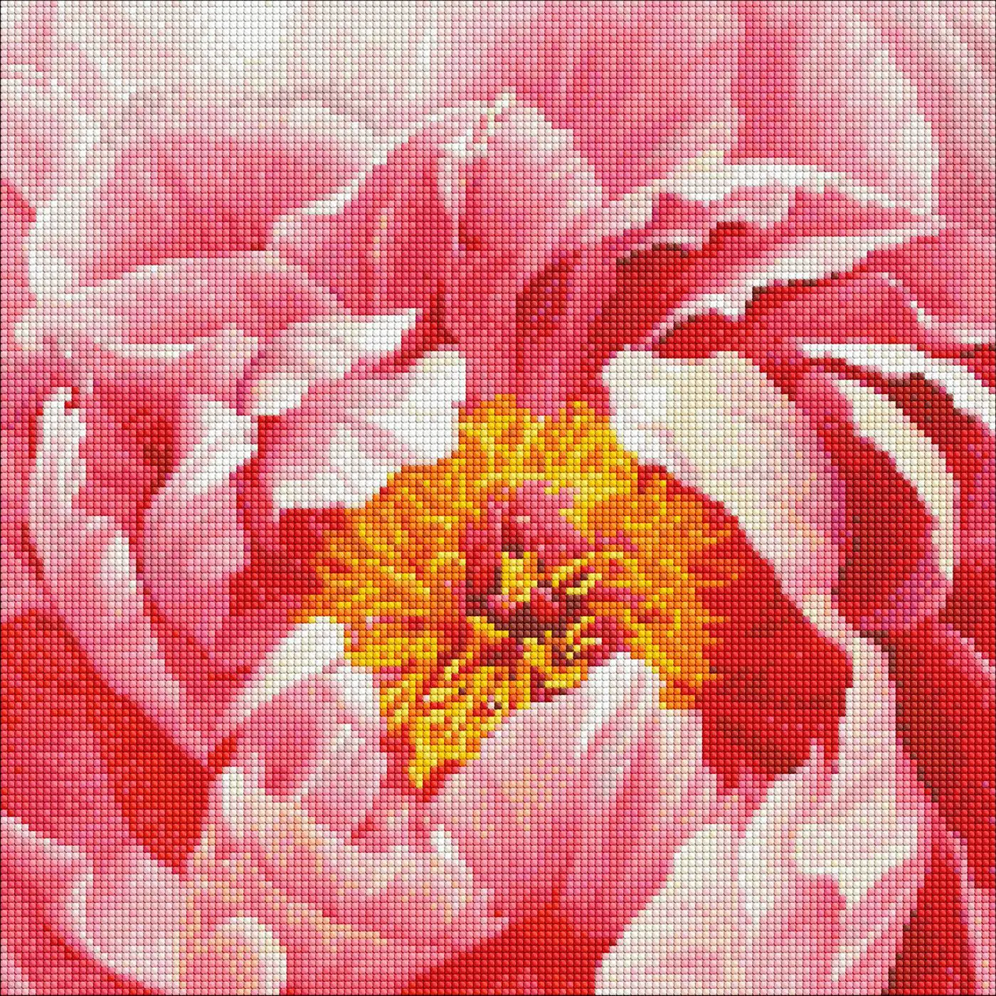 Diamantová mozaika 40×40 cm – kreativní sada s třpytivými kamínky  Barevná pivoňka  - fotografie 1