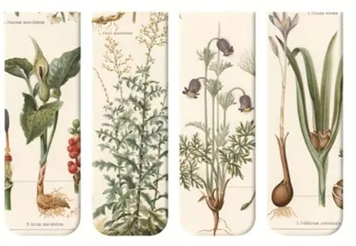 Magnetické záložky Vintage Botanické Umění - fotografie 1