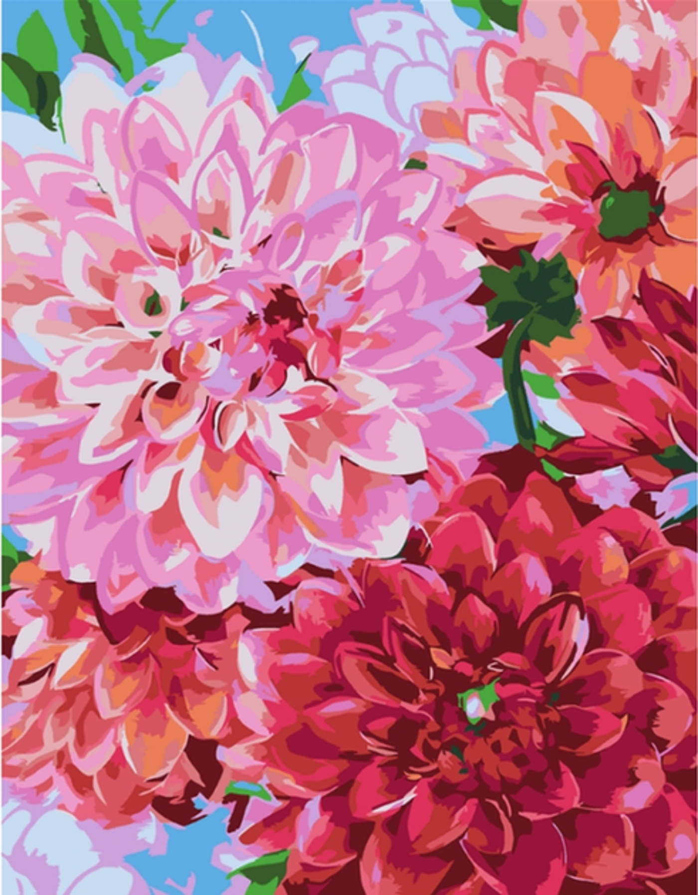 Malování podle čísel Rosa Start Květy jiřin 35x45cm - fotografie 1