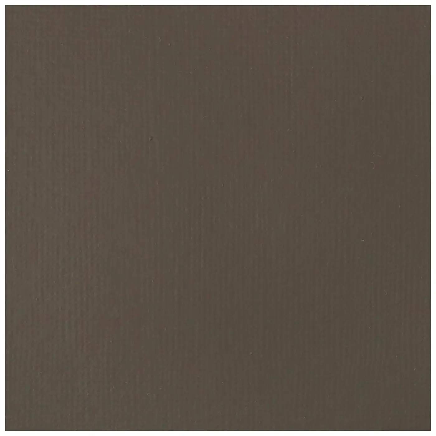 Akrylová barva Liquitex Basics 22 ml – 331 raw umber  - fotografie 2