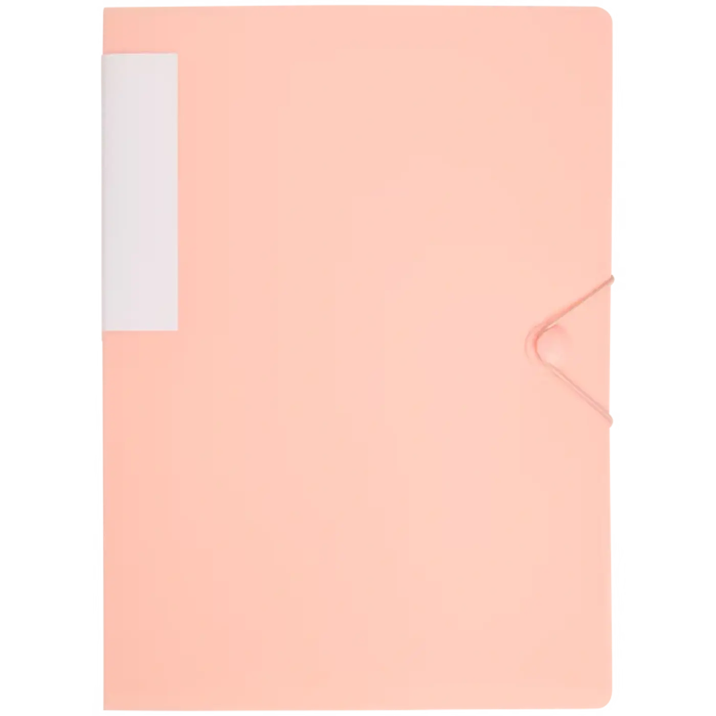 Prezentační desky peach - fotografie 1