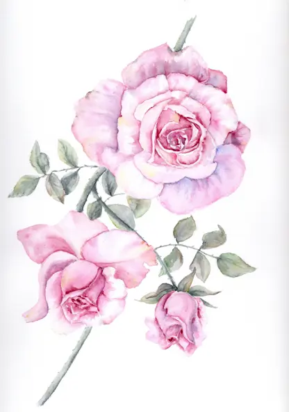 Workshop akvarelu: Růže ve světle